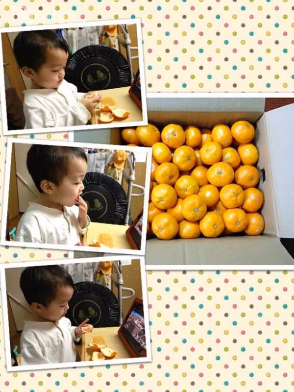 Niềm vui khi nhận được thùng quýt ăn Tết gửi từ quê nhà Việt Nam.