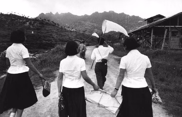 Nhóm nữ sinh trong chuyến dã ngoại ở vùng núi gần Seoul. Ảnh: Rene Burri/ Magnum Photos.