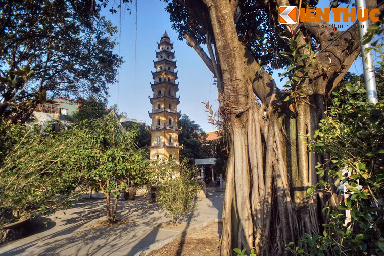 Ngôi chùa này chính là chốn tổ của phái Liên Tông (dòng hoa sen) – một trong những phái thiền của Phật giáo bản địa Việt Nam – xuất hiện cuối thời Hậu Lê.