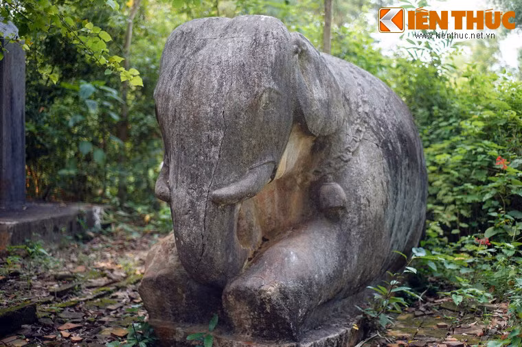 Chi tiết đáng chú ý là trên mình voi có sợi dây xích choàng hai vòng qua cổ và bụng.