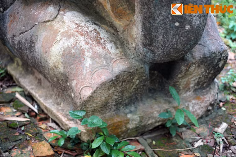 Móng chân voi được tạo hình khá tỉ mỉ.