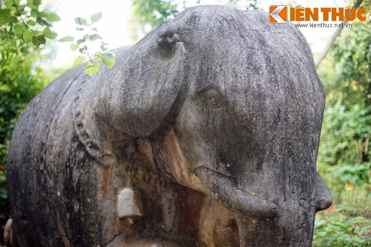 Ở vòng xích cổ có hai quả chuông ở hai bên.