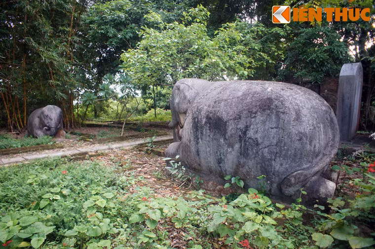 Nếu như ở các lăng mộ đá cổ cùng thời, voi đá thường được làm thành cặp giống hệt nhau, cặp voi của lăng Quận Nghi có sự khác biệt lớn về kích thước và kiểu dáng.