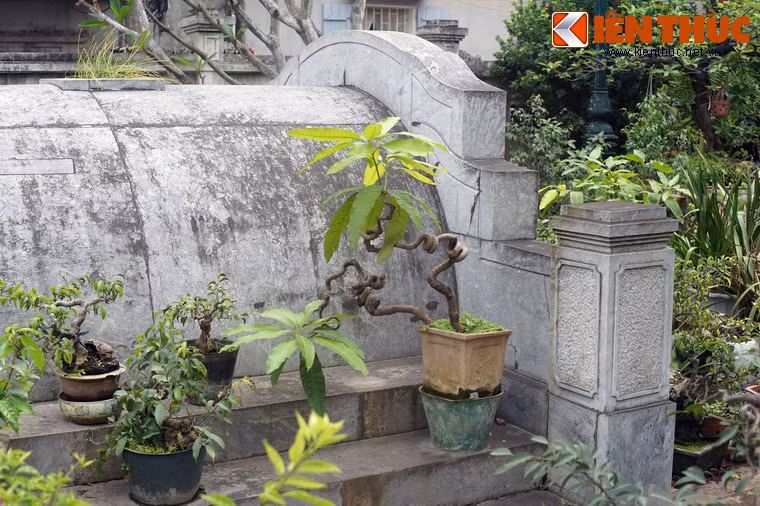 Có con đường quan lộ khá suôn sẻ, ông từng làm quan Kinh lược quản lý xứ Bắc Kỳ, rồi quay về Huế làm Đệ nhị phụ chính Đại thần, chức vụ cao nhất trong triều đình dưới thời Pháp thuộc.