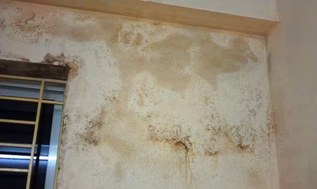 Hoang hon mang tuong lon tu tang 7 chung cu bat ngo roi-Hinh-6