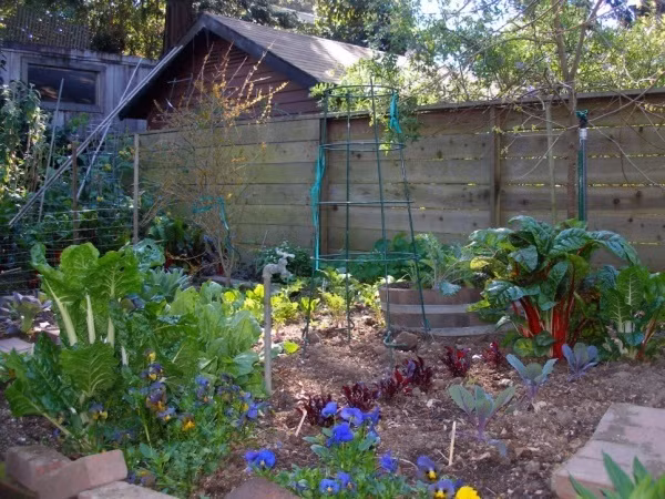 Lắp ráp giàn leo từ khung inox với các vòng tròn từ lớn đến bé, là nơi để các loại cây leo giàn thoải mái có thêm diện tích để phát triển.