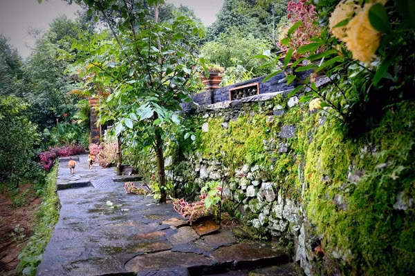 Nhà nằm trong khuôn viên rộng hơn 4ha, phía trước ngôi nhà có bể cá, vườn cây cảnh. Bên trong nhà là những vật dụng cũ kỹ, từ bàn, ghế, phản, tủ đến cánh cửa, cột nhà,... nhưng vẫn còn chắc chắn. Ngôi nhà cổ mát lạnh vào mùa hè và ấm áp khi mùa đông, là nơi che chắn mưa bão của thế hệ trước và được thế hệ sau giữ gìn, bảo vệ. Ảnh: Tiền phong.