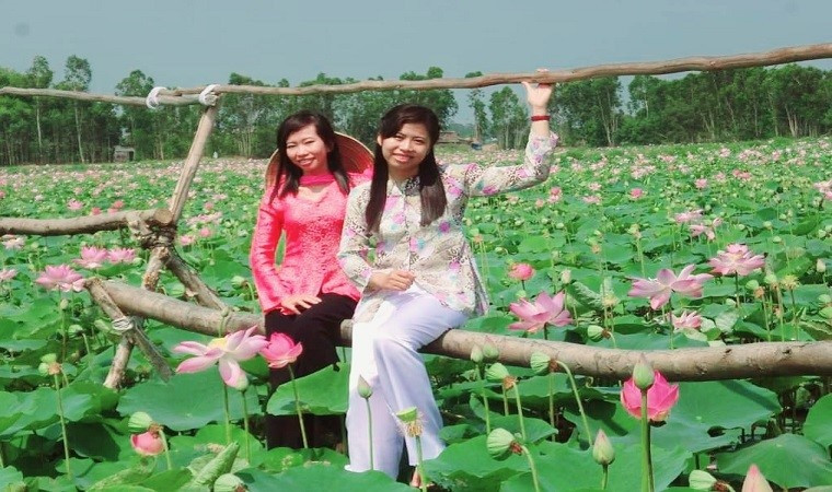 Đồng sen tại điểm tham quan du lịch Anh Hai Lúa.