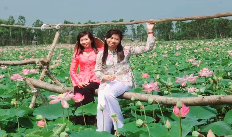 Đồng sen tại điểm tham quan du lịch Anh Hai Lúa.