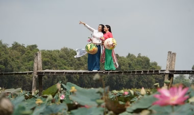 Du khách check-in ở đồng sen Gò Tháp.