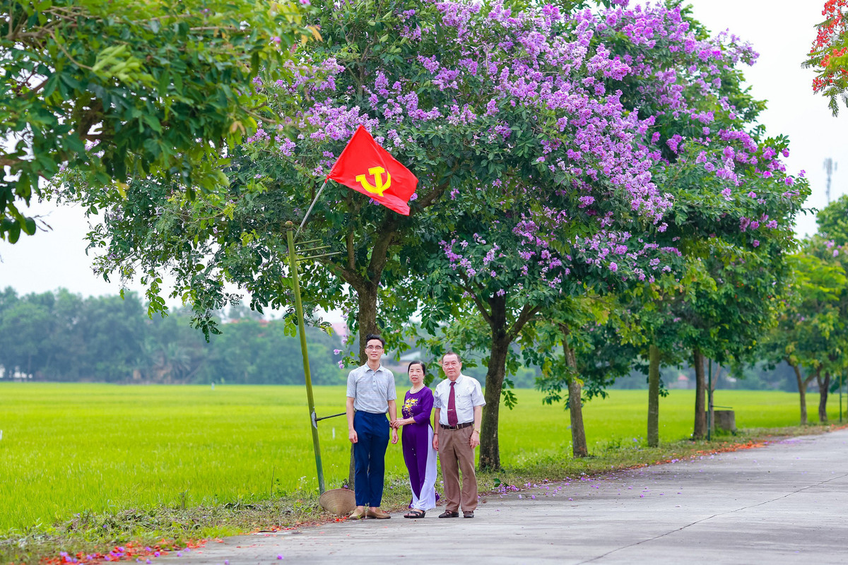 Con duong ben do ruc hoa phuong, ben tim lim bang lang-Hinh-9