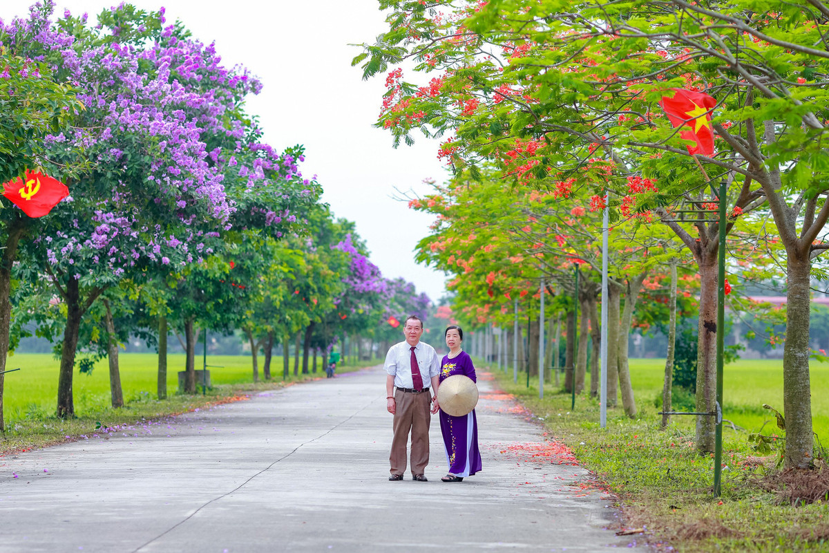 Con duong ben do ruc hoa phuong, ben tim lim bang lang-Hinh-10