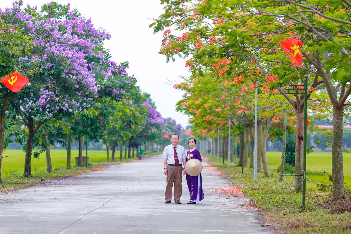 Con duong ben do ruc hoa phuong, ben tim lim bang lang-Hinh-10