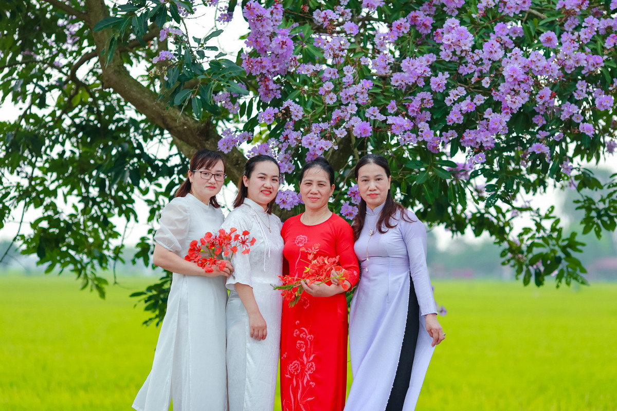 Con duong ben do ruc hoa phuong, ben tim lim bang lang-Hinh-8