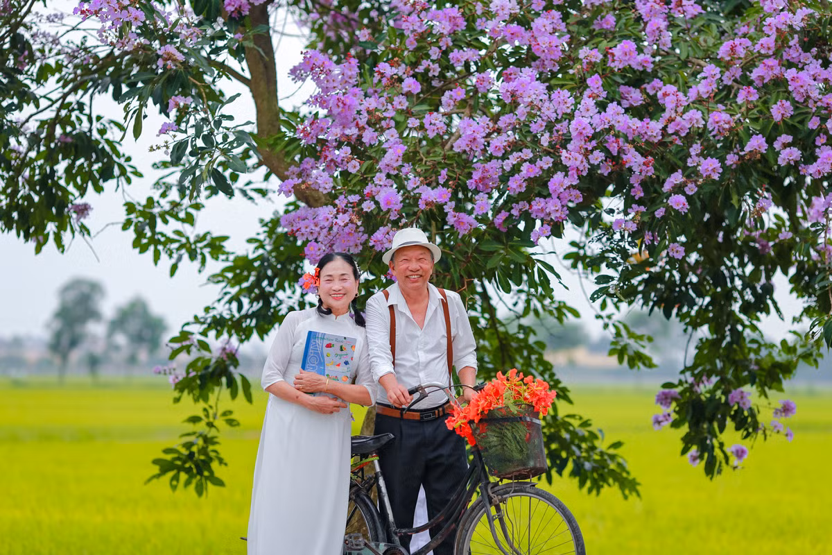 Con duong ben do ruc hoa phuong, ben tim lim bang lang-Hinh-7