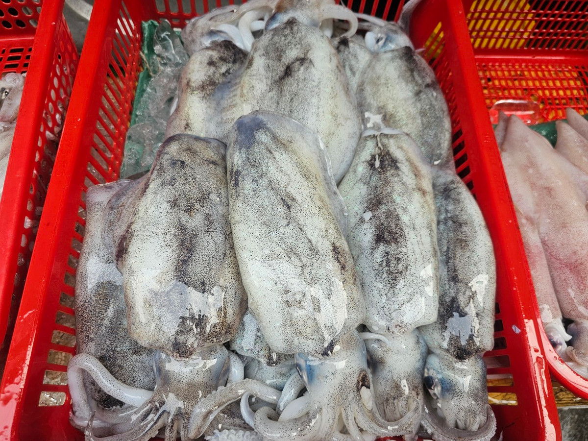 Chợ Chiều Đà Nẵng được xem là thiên đường hội tụ hết những nét đặc sắc của nền ẩm thực biển Đà Nẵng.