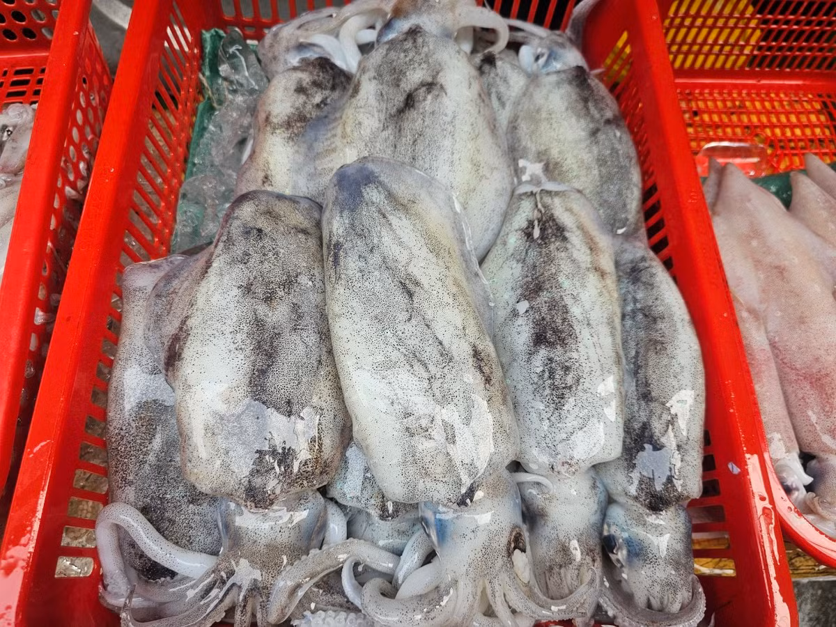 Chợ Chiều Đà Nẵng được xem là thiên đường hội tụ hết những nét đặc sắc của nền ẩm thực biển Đà Nẵng.