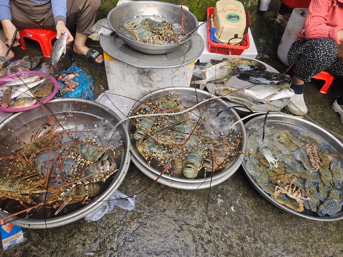 Từ tôm hùm tươi sống...