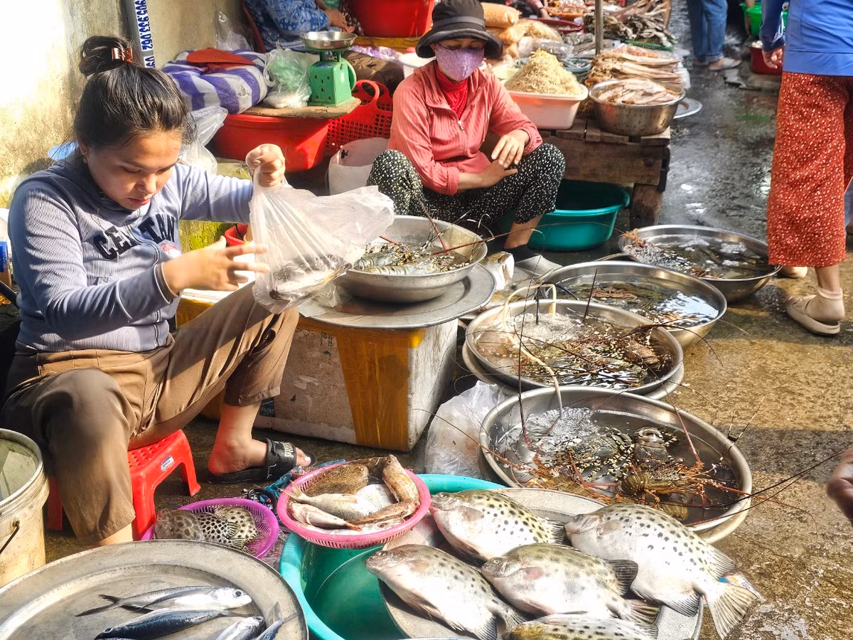 Nhiều người dân địa phương cho biết, chợ Chiều Đà Nẵng là địa chỉ hấp dẫn để mua hải sản "bao ngon" vào buổi chiều.