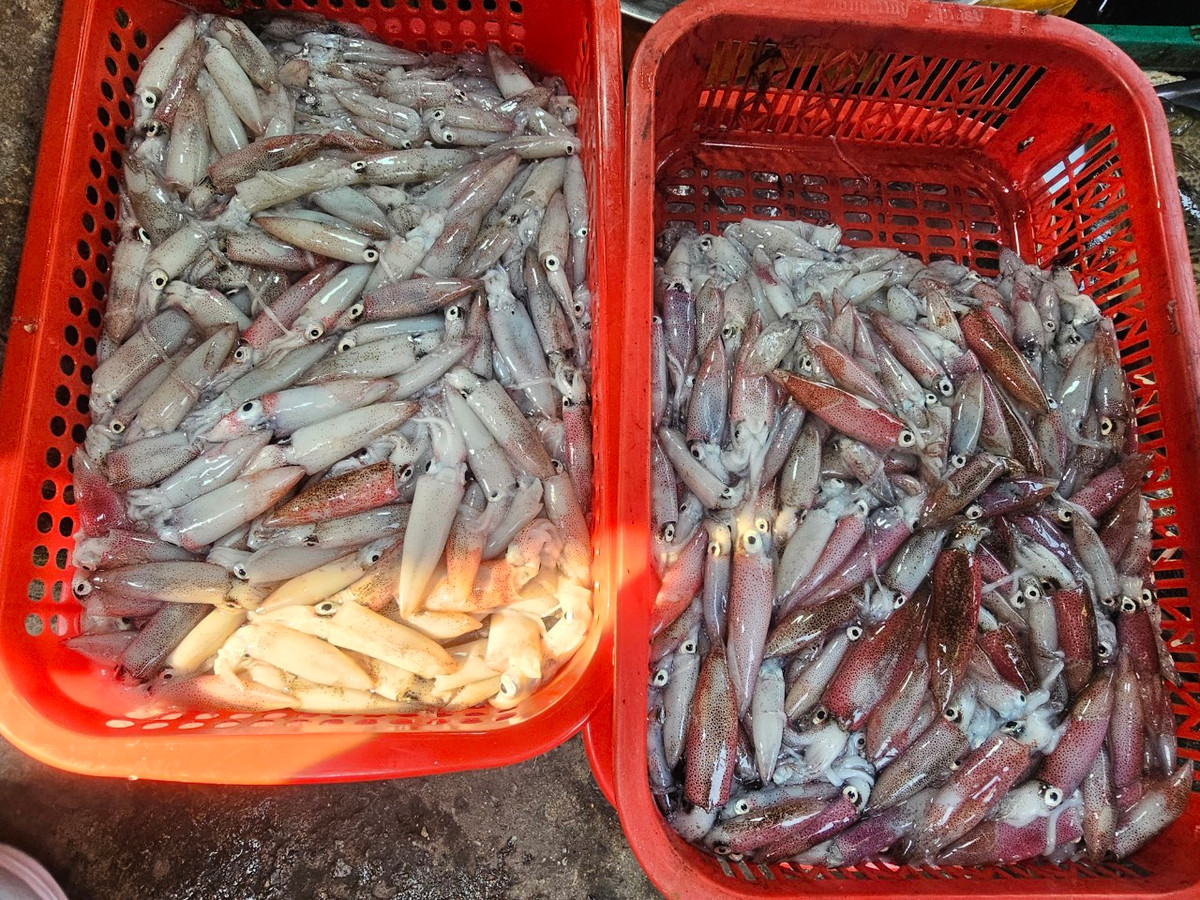 Nhiều du khách lần đầu đến chợ phải xuýt xoa về độ tươi ngon của các loại hải sản.