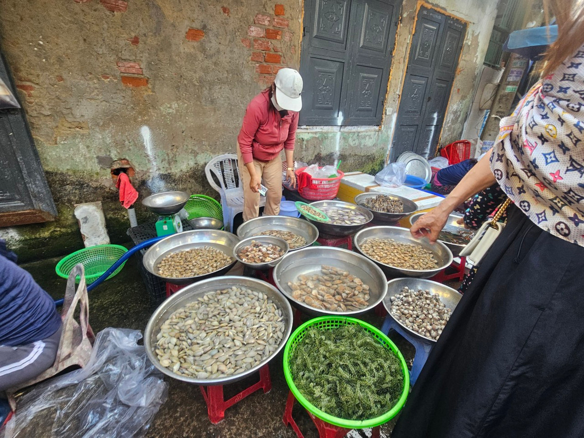 Ngêu, sò, ốc, hến, rong nho... đủ loại.