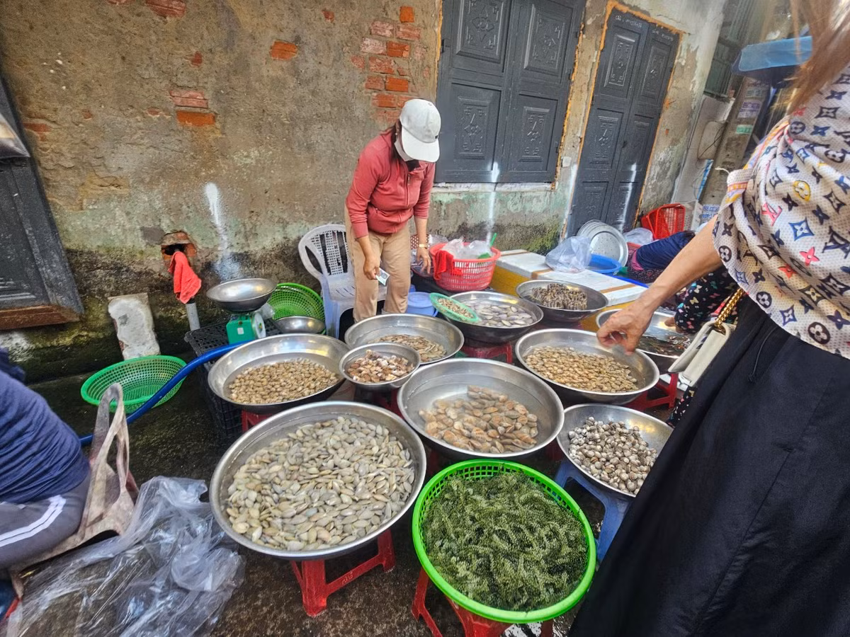 Ngêu, sò, ốc, hến, rong nho... đủ loại.