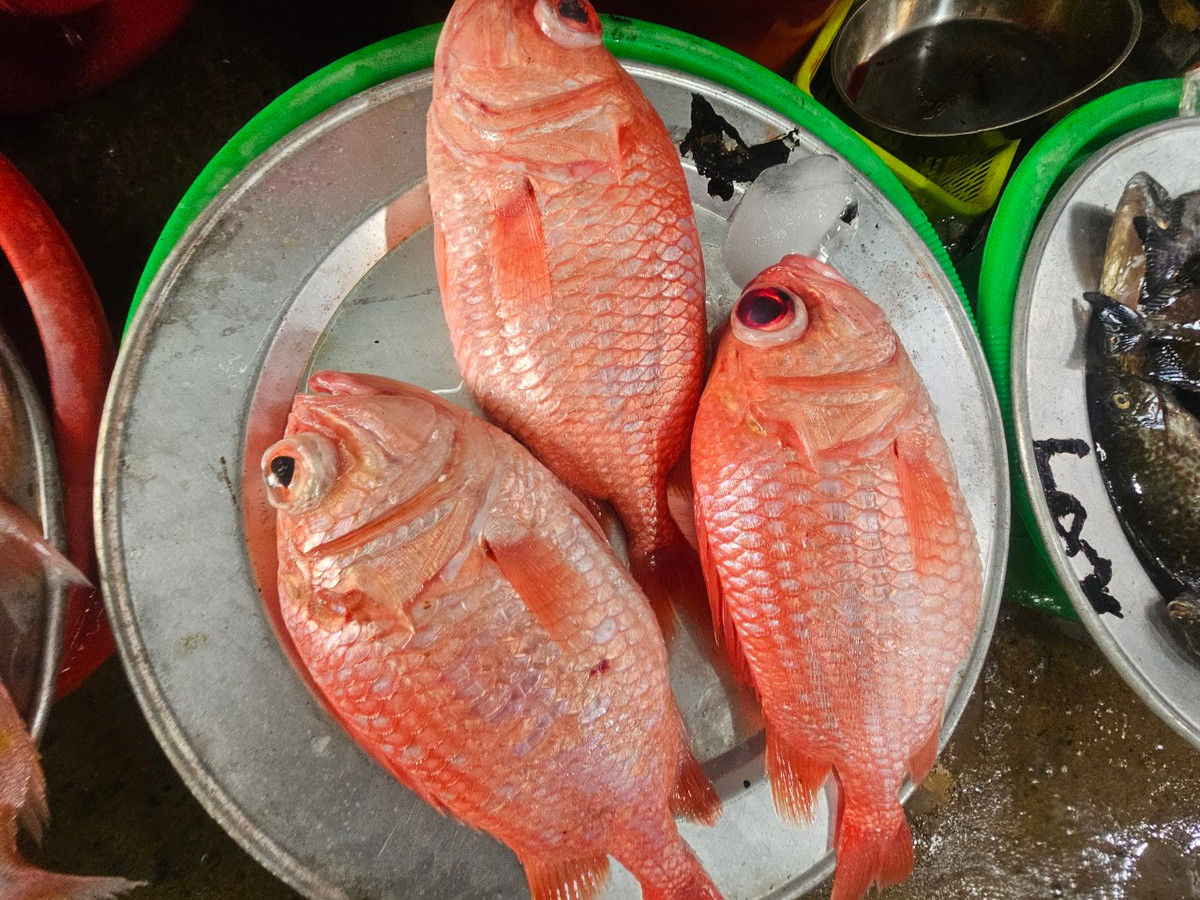 Giá cả các loại hải sản khá mềm đúng kiểu "ngon-bổ-rẻ".