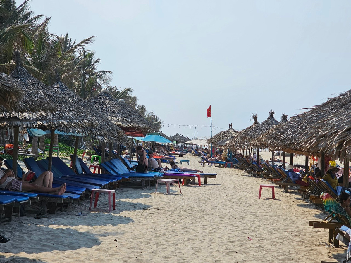 Một du khách đến từ Wellington, New Zealand chia sẻ trên Tripadvisor hồi tháng 10/2023 “An Bàng là một ốc đảo nhỏ cách xa những khu nghỉ dưỡng lớn. Nước trong vắt, bãi biển dài và sạch. Rất đáng để thư giãn ở nơi này."