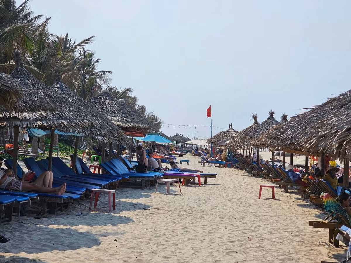 Một du khách đến từ Wellington, New Zealand chia sẻ trên Tripadvisor hồi tháng 10/2023 “An Bàng là một ốc đảo nhỏ cách xa những khu nghỉ dưỡng lớn. Nước trong vắt, bãi biển dài và sạch. Rất đáng để thư giãn ở nơi này."