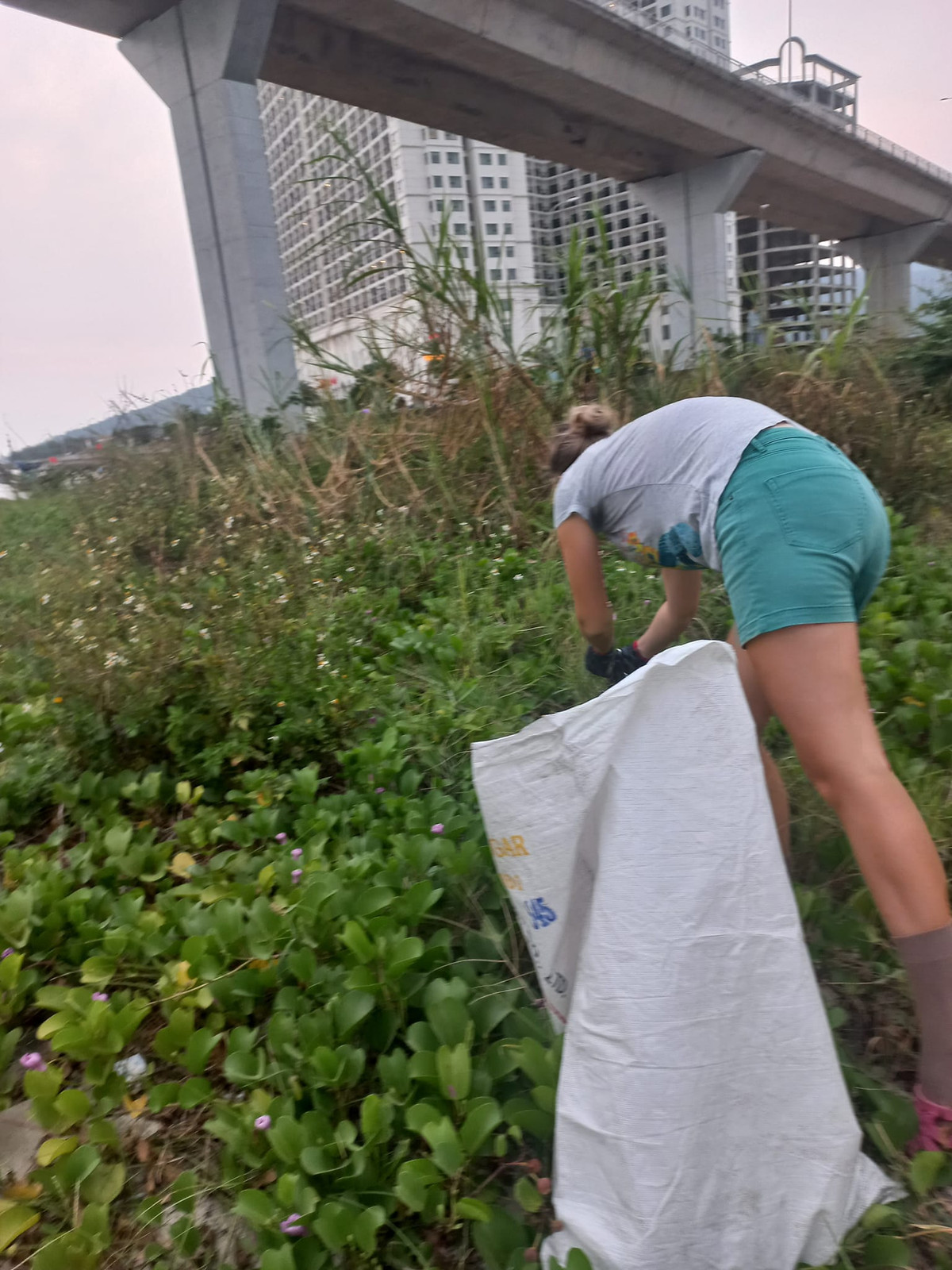 Các buổi thu gom rác được nhóm tổ chức tại các điểm như: chân cầu Thuận Phước, vịnh Mân Quang, bãi tắm Sơn Thủy hay các khu dân cư…