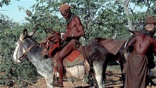 Bí quyết để người châu Phi không bao giờ bị muỗi đốt - Hình 4 Bi quyet de nguoi chau Phi khong bao gio bi muoi dot-Hinh-4