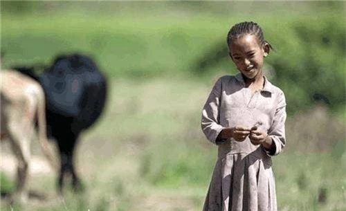 Bí quyết để người châu Phi không bao giờ bị muỗi đốt - Hình 5 Bi quyet de nguoi chau Phi khong bao gio bi muoi dot-Hinh-5