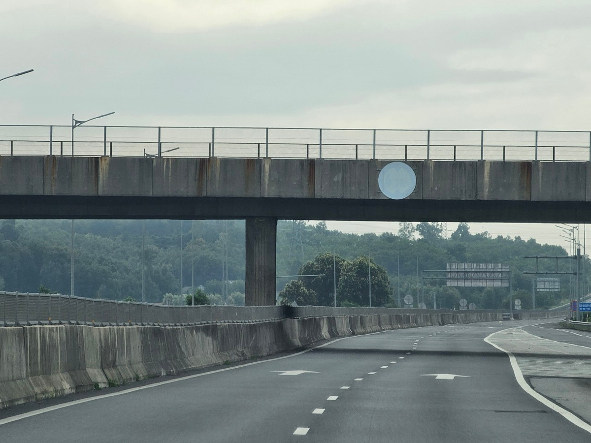 Nguyên nhân vụ xe chở lợn lật trên cao tốc Đà Nẵng - Quảng Ngãi đang được điều tra, làm rõ.