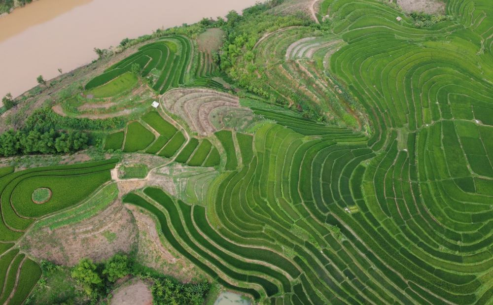 Những ruộng bậc thang chồng chồng, lớp lớp bên dòng sông Mã (ở bản Pom Khuông, xã Tam Chung, huyện Mường Lát). Ảnh: Quách Du