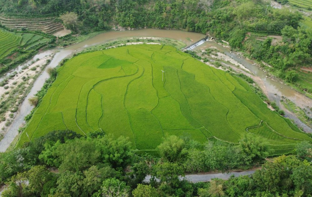 Bên dòng suối Sim (ở xã Quang Chiểu), cánh đồng ruộng bậc thang phủ một màu xanh mướt. Ảnh: Quách Du