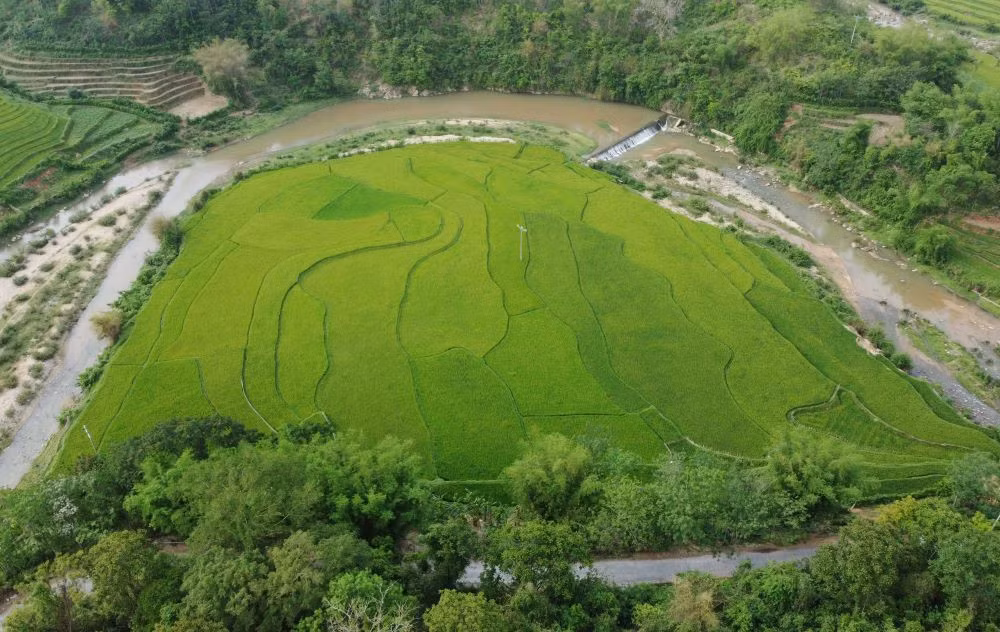 Bên dòng suối Sim (ở xã Quang Chiểu), cánh đồng ruộng bậc thang phủ một màu xanh mướt. Ảnh: Quách Du