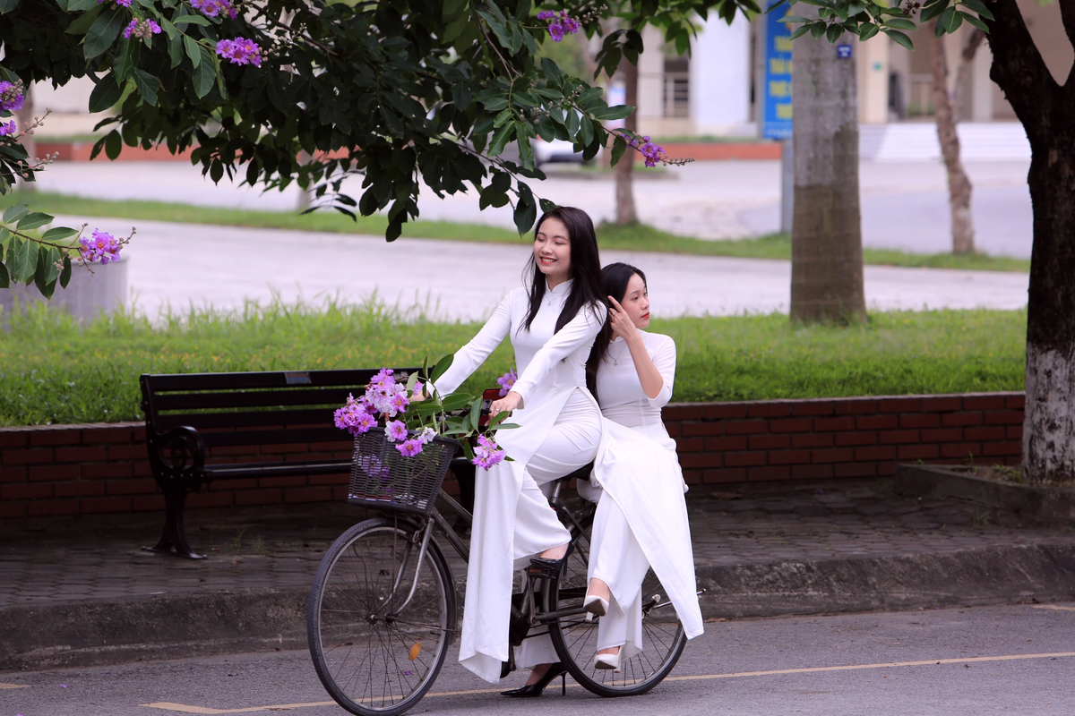 Là cảm nhận của những người trẻ đi giữa mùa hoa bằng lăng.