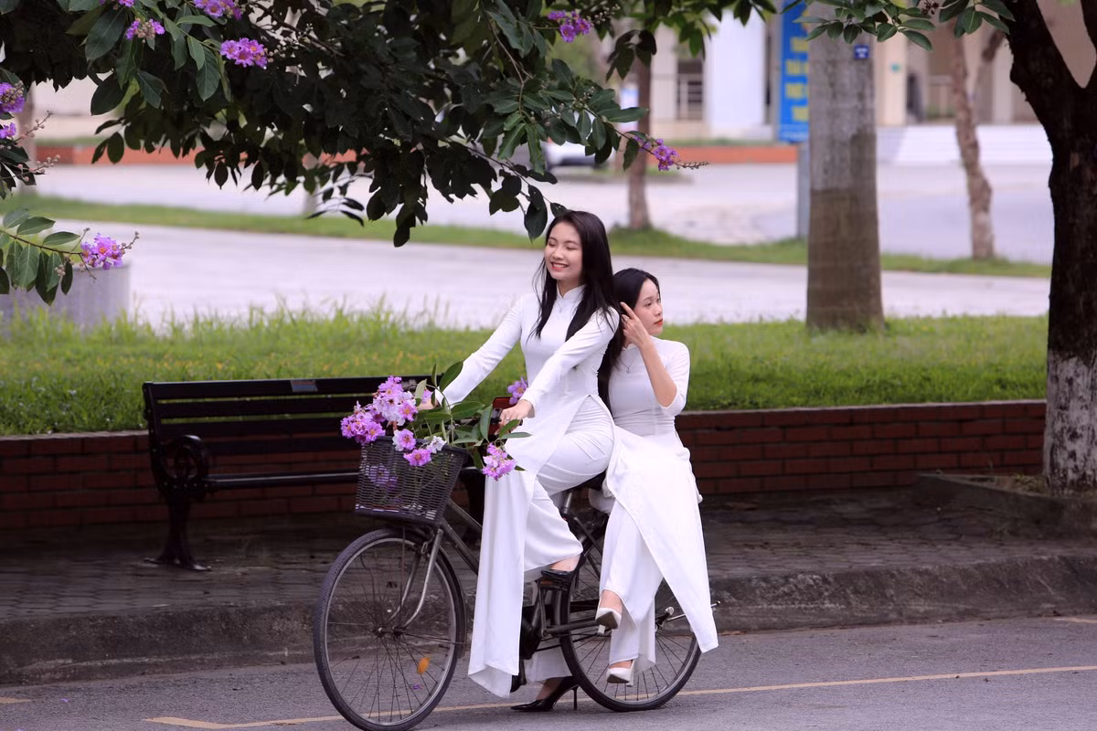 Là cảm nhận của những người trẻ đi giữa mùa hoa bằng lăng.