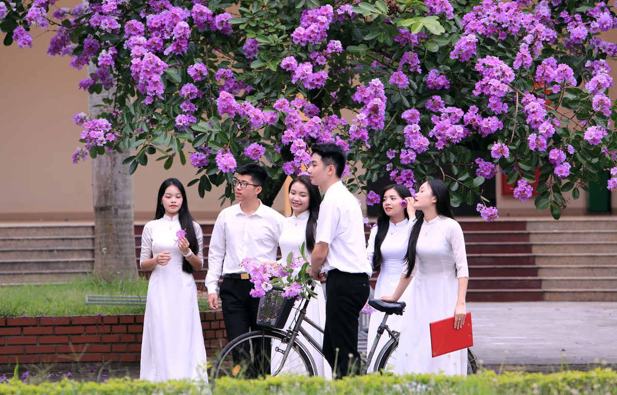 Hoa bằng lăng tượng trưng cho tình bạn thắm thiết, trong sáng nhất. Đây cũng là nguyên do tại sao mà cây hoa bằng lăng được trồng nhiều tại sân trường cùng với cây phượng đỏ là vậy.