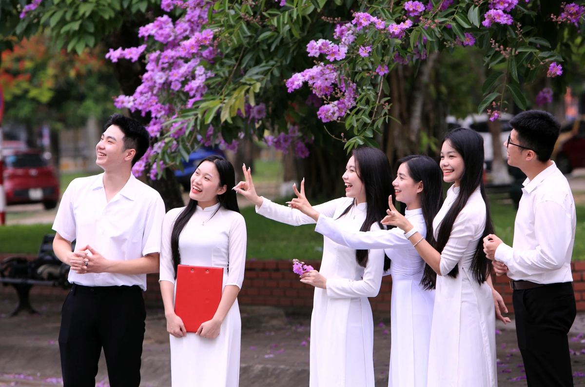 Màu hoa nở rộ dưới mái trường thơ mộng, len lỏi giữa tâm tư tình cảm của những bạn trẻ ước mơ về một tương lai tương sáng.