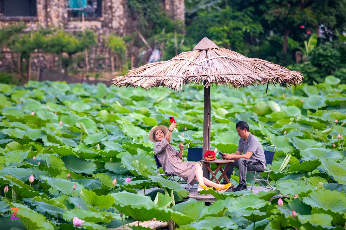 Ngoài ra, tại đây cũng có những quán cà phề nằm ở đầm sen để phục vụ nhu cầu của du khách đến vãn cảnh, thưởng thức trà sen và cần sự yên tĩnh.