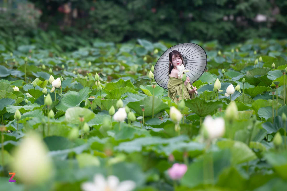 Ngoài ra, nhiều bạn trẻ chọn phong cách lạ hơn với kimono, váy maxi...