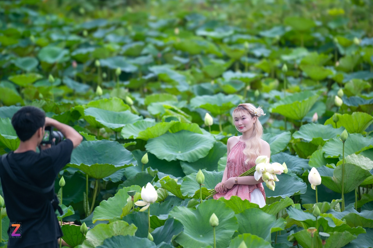 Anh Duy, thợ chụp ảnh đã có 5 năm kinh nghiệm chụp ảnh ở đầm sen, cho biết: "Nếu tự chuẩn bị trang phục và hoa để chụp, trung bình mỗi cô gái sẽ phải chi từ 500.000 đến 700.000 đồng để thuê thợ chụp một bộ ảnh".