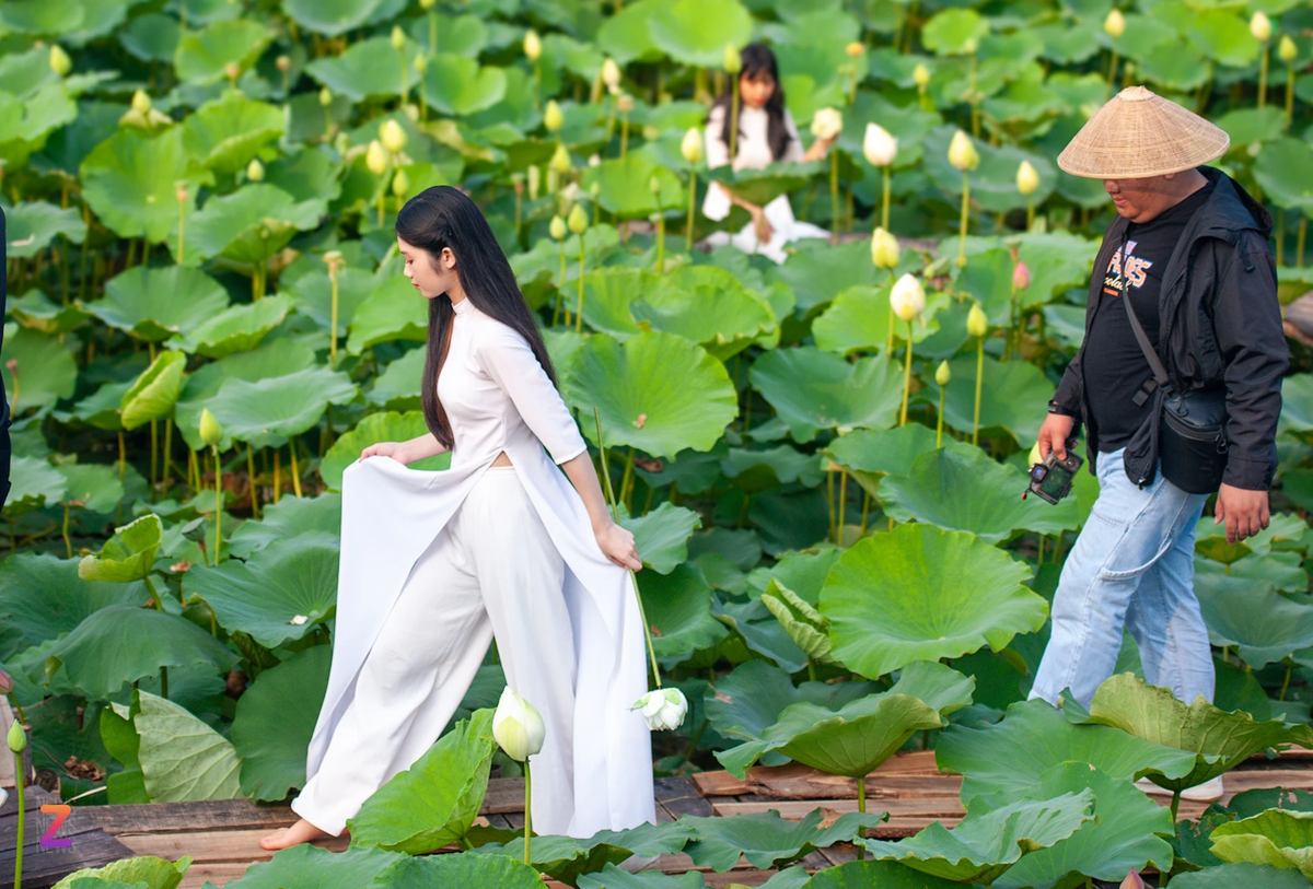 Với 5 năm kinh nghiệm chụp ảnh cho khách hàng tại đầm sen Hồ Tây, anh Đào Văn Mạnh cho biết: "Thời điểm hiện tại mới vào đầu mùa sen nhưng hôm nay tôi đã chụp cho 7 khách hàng. Về giá cả thì hiệu ảnh của chúng tôi có nhiều gói chụp khác nhau, dao động từ khoảng 700.000 đến 1.500.000 đồng/người đã bao gồm cả trang điểm, làm tóc và trang phục".