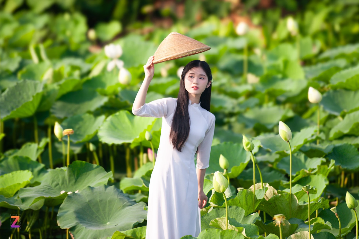 Lần đầu tiên đến chụp ảnh bên đầm sen ở hồ Tây, Phạm Thị Thùy Linh, sinh viên Đại học Thủy lợi, cho biết rất vui vì thời tiết nắng nhẹ vào buổi sáng giúp việc thực hiện bộ ảnh của cô gặp nhiều thuận lợi.