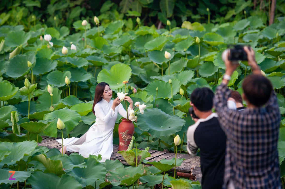 Để thực hiện được những bộ ảnh ưng ý cùng hoa sen, phần lớn các cô gái đến đây chụp ảnh lựa chọn các trang phục truyền thống như áo yếm, áo dài.