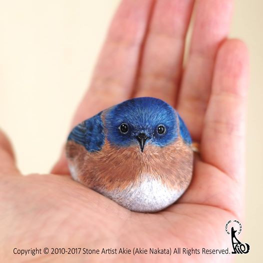 Akie có một cách nhìn rất đặc biệt khi nhìn vào những viên sỏi đá. Trong khi hầu hết chúng ta đều phớt lờ chúng thì cô lại coi chúng tương tự như các sinh vật sống, và "thổi hồn" vào cho từng viên sỏi.