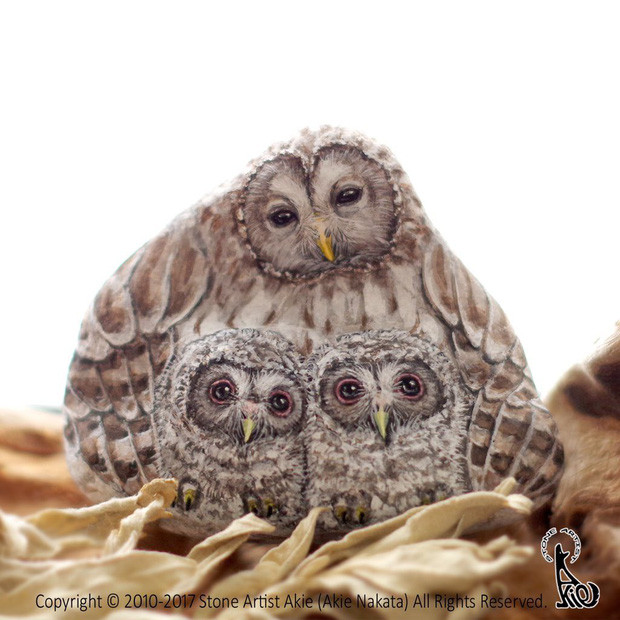 Akie cho biết cô bắt đầu tự học vẽ lên đá từ năm 2010. Cô đã thu thập đá và vẽ động vật từ khi còn nhỏ, nhưng chỉ khi cô phát hiện ra một hòn đá có hình dáng giống một con thỏ và quyết định vẽ lên hòn đá để cho nó giống một con thỏ thực sự thì đam mê mới bắt đầu bùng cháy. Akie không chỉnh sửa hoặc có bất kỳ tác động lên các viên đá mà giữ nguyên hình dáng ban đầu của chúng.