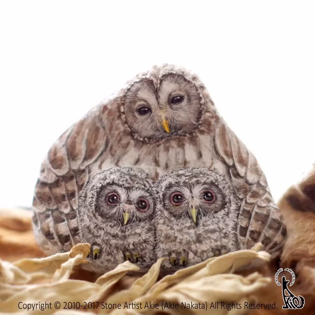 Akie cho biết cô bắt đầu tự học vẽ lên đá từ năm 2010. Cô đã thu thập đá và vẽ động vật từ khi còn nhỏ, nhưng chỉ khi cô phát hiện ra một hòn đá có hình dáng giống một con thỏ và quyết định vẽ lên hòn đá để cho nó giống một con thỏ thực sự thì đam mê mới bắt đầu bùng cháy. Akie không chỉnh sửa hoặc có bất kỳ tác động lên các viên đá mà giữ nguyên hình dáng ban đầu của chúng.