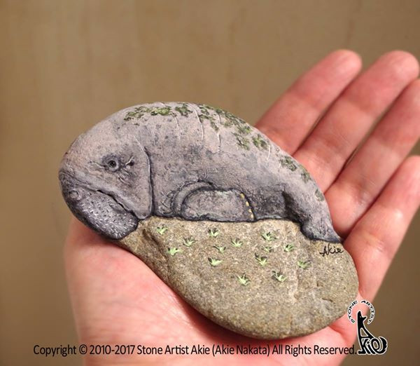 Khi nó nằm trong lòng bàn tay của tôi, tôi cảm thấy lịch sử của Trái Đất mà hòn đá đã "âm thầm" chứng kiến qua hàng thiên niên kỷ, và tôi cảm thấy câu chuyện bên trong nó. Tôi cảm thấy hơi thở của cuộc sống bên trong mỗi hòn đá, vì vậy đôi khi tôi vừa vẽ vừa nói chuyện với hòn đá đang nằm trong tay mình".